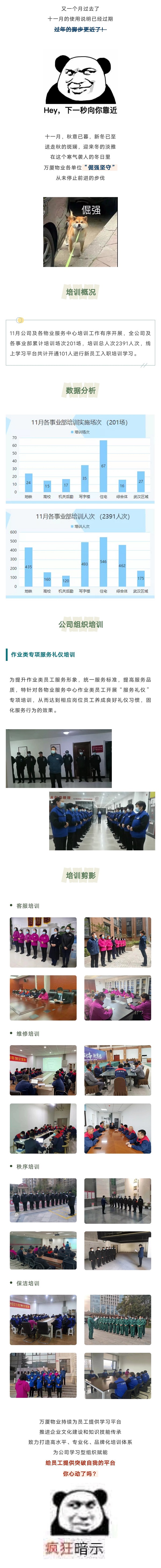 11月月报.jpg