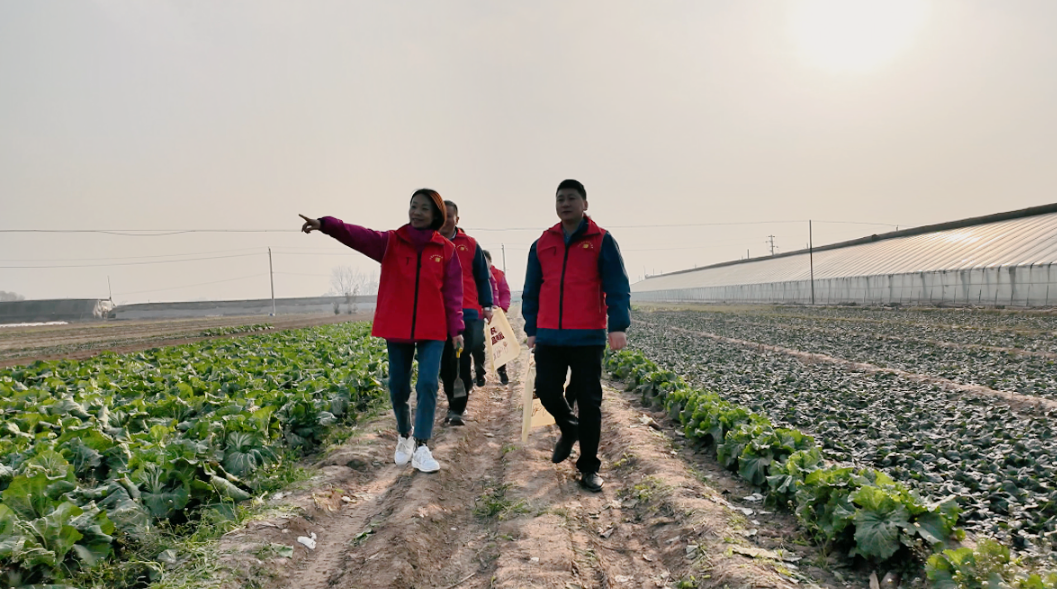 1765867910287708.png 2.png