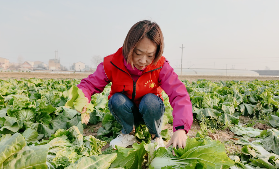 1765867975357805.png 3.png