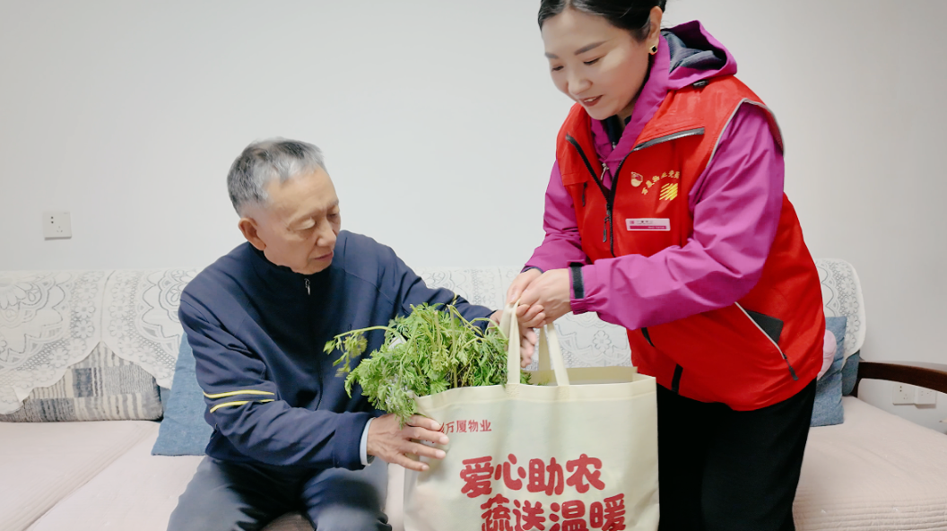 1765872012137852.png 1765872012137852.png